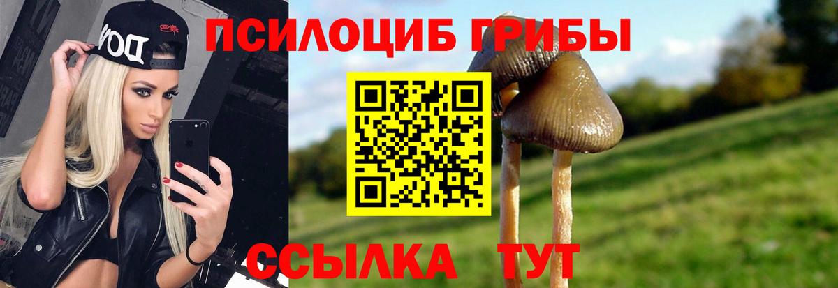 Псилоцибиновые грибы MAGIC MUSHROOMS  Галлюциногенные грибы Magic Shrooms  где найти наркотики  Электрогорск  Вход с VPN 